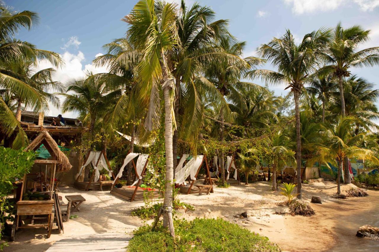 Mayan Monkey Isla Mujeres 女人岛 外观 照片